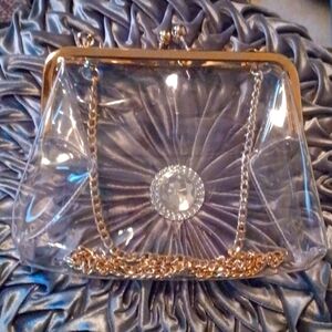 Contemporary Clear Glam Bag